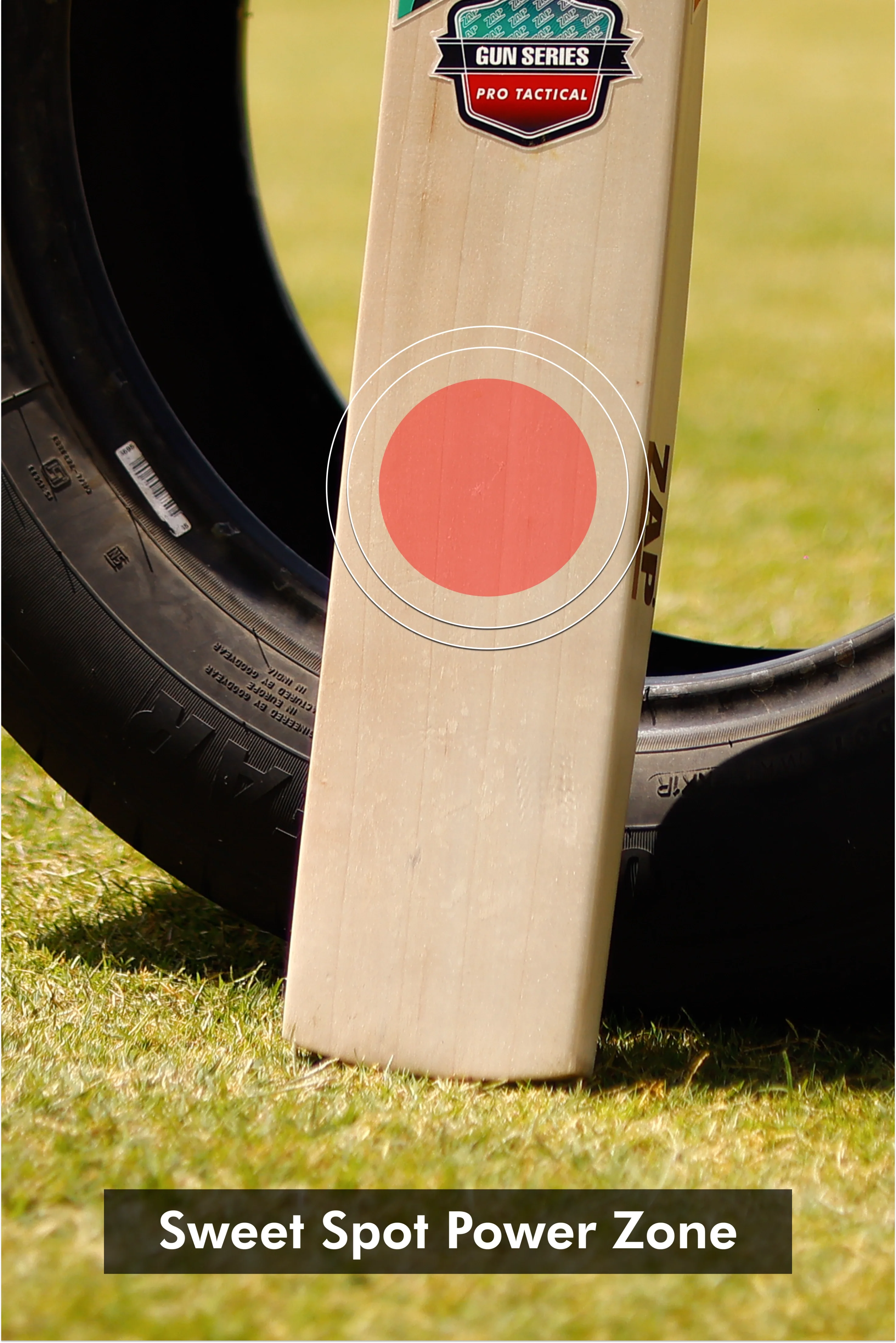 ZAP Gun Pro Tactical English Willow Cricket Bat